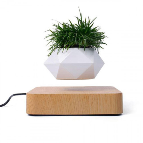 Floating Magnetic Levitating Mini Garden...