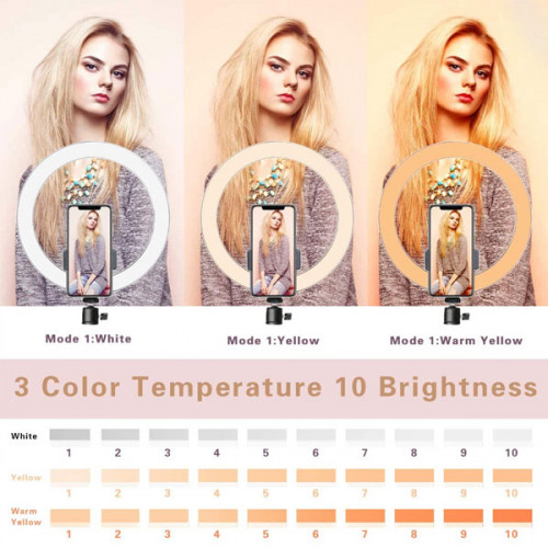 Portable Ring Light with Mini Tripod ( 10 inch ) 