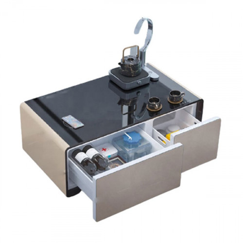 Smart Refrigerator Coffee Table With Bui...