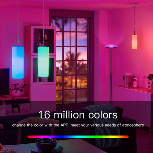 Modern RGB LED Floor Lamp 