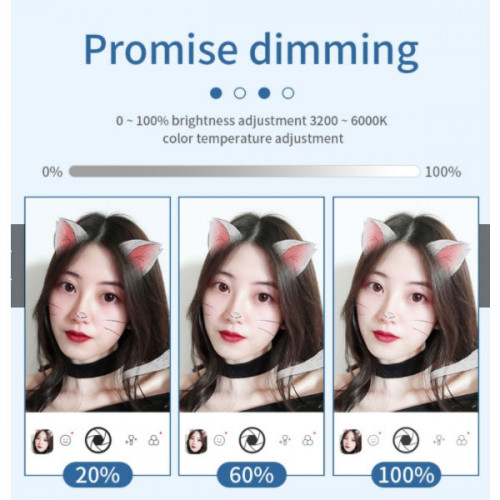 Foldable LED Selfie Ring Light 6 Inch with Mirror and Phone Holder 58cm for Live Stream Makeup YouTube
