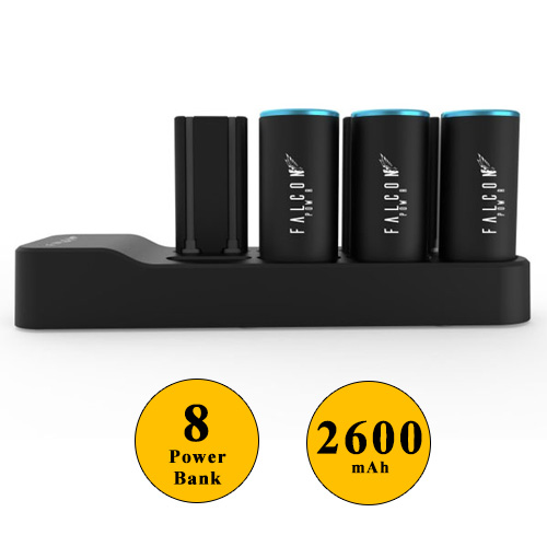 Falcon Power Charging Station 8 Batterie...