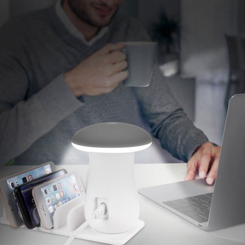   USB Charging Station with QC3.0 Charger and LED Light Dock Stand for Smartphones, Tablets & Other Gadgets 