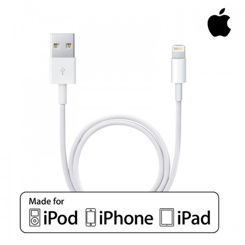 Apple Lightning Cable for iPhone / iPod ...