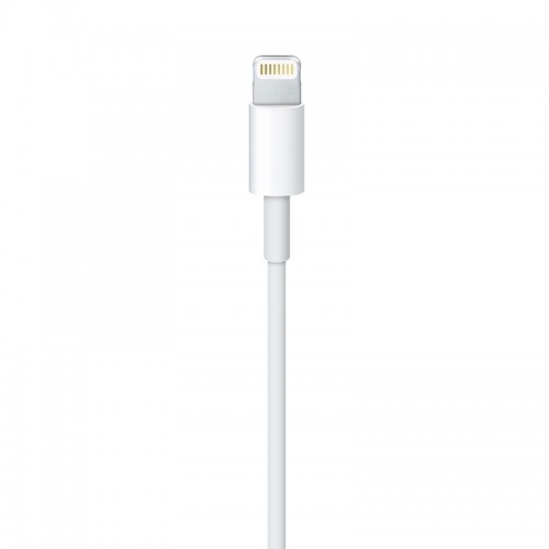 Apple Lightning Cable for iPhone / iPod & iPad - 2M
