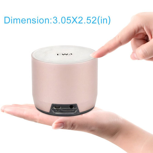 EWA Portable Metal Wireless Speaker with Passive Subwoofer, Enhanced Impactive Bass - Gray